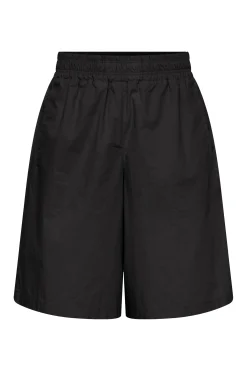 DAMES DRYKORN GROUND